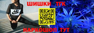 прущие крисы Шелехов