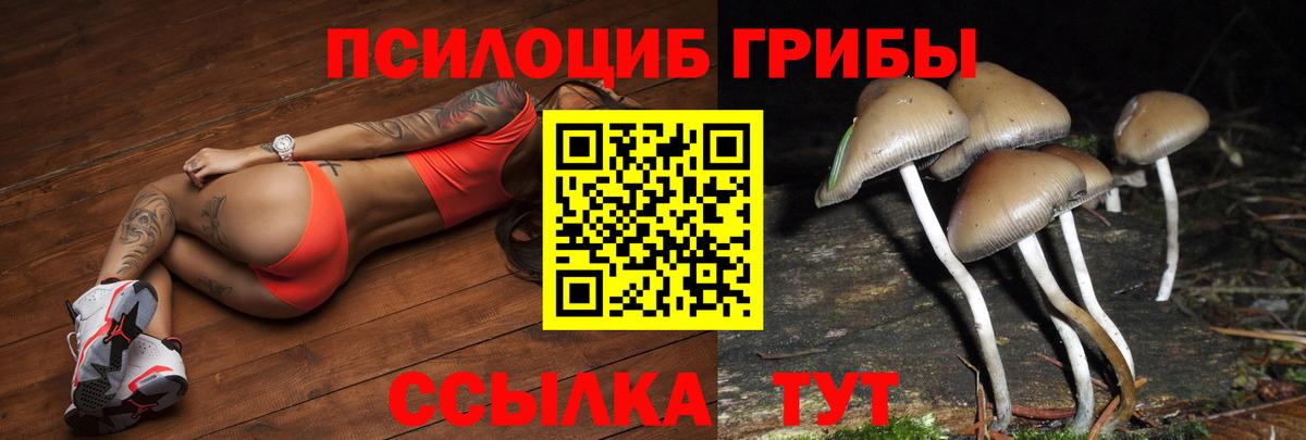 Псилоцибиновые грибы мухоморы Ступино